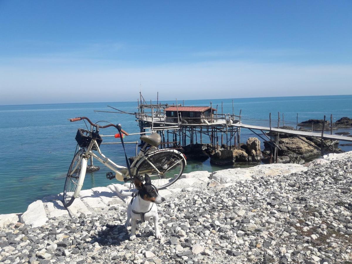 Casa A 20 Metri Dal Mare! Lägenhet Fossacesia Exteriör bild